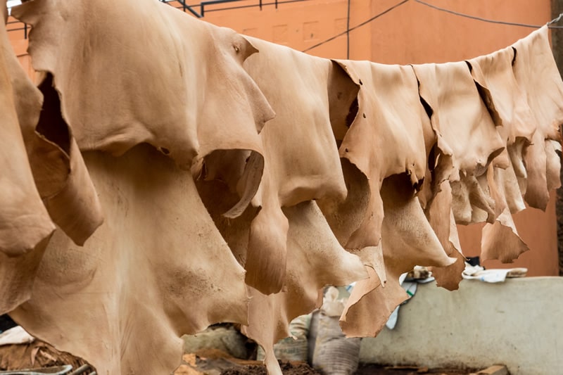 Fase asciugatura Pelle Caprina colore marrone chiaro