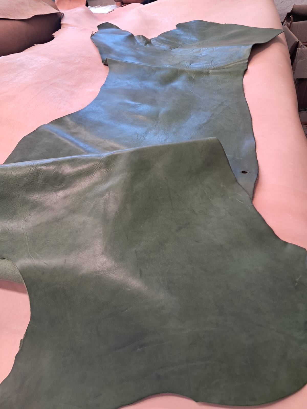 Fianco bovino verde bottiglia