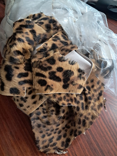 Ritagli di cavallino stampa leopardo 2